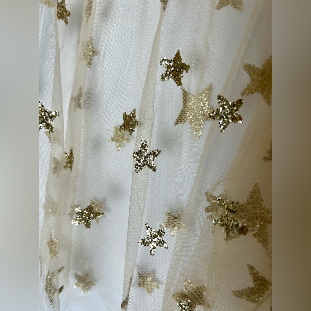 Lirika Matoshi Beige Tulle A-Line Skirt with Gold Star Embellishments - Picture 5 of 7